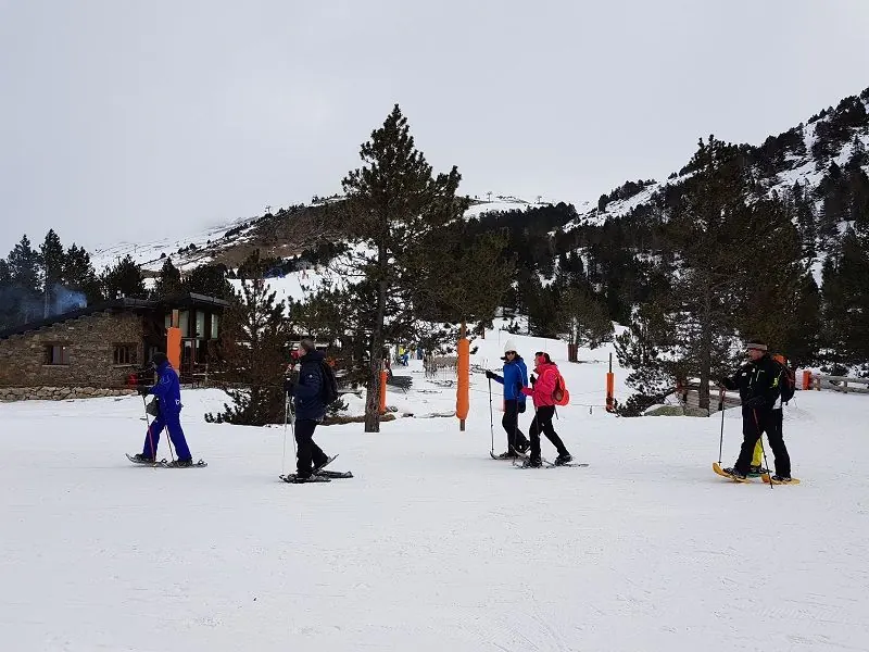 Federats i voluntaris amb raquetes a la neu