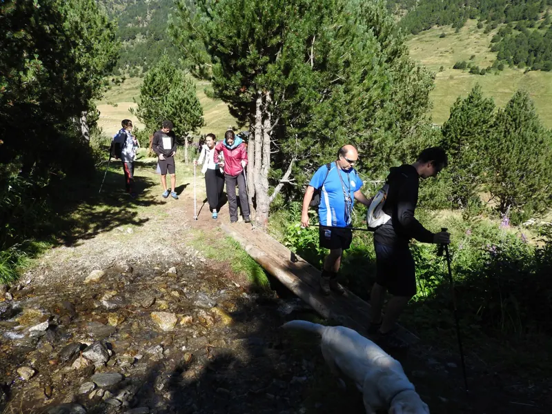 Grup de la FADEA fent trekking per un bosc d'Andorra